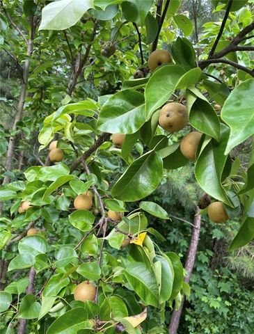 1760 Shire Village Drive, Sugar Hill, GA 30518