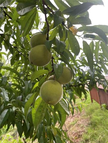 1760 Shire Village Drive, Sugar Hill, GA 30518