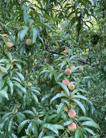 1760 Shire Village Drive, Sugar Hill, GA 30518