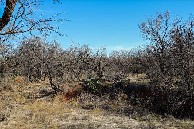 TBD 42 County Road 318, Abilene, TX 79606