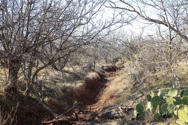 TBD 42 County Road 318, Abilene, TX 79606