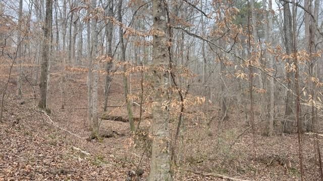 00Lot3 N Helton Road, Douglasville, GA 30135