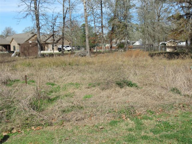 50 Hidden Oaks, Point Blank, TX 77364