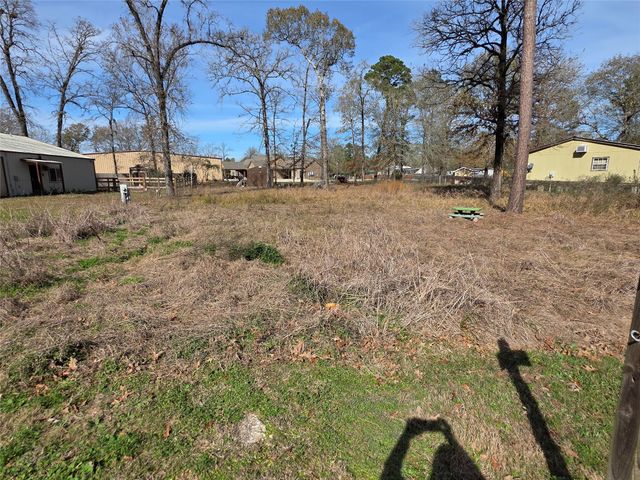 50 Hidden Oaks, Point Blank, TX 77364