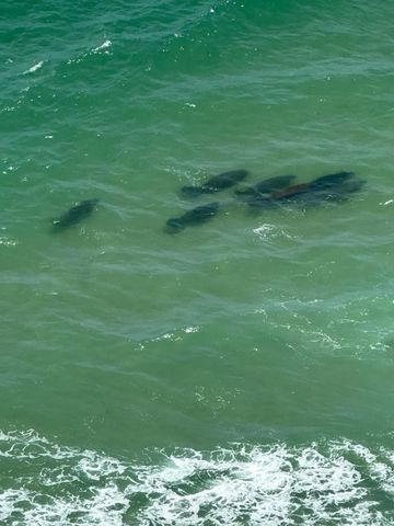 4280 Galt Ocean Drive 29C, Fort Lauderdale, FL 33308