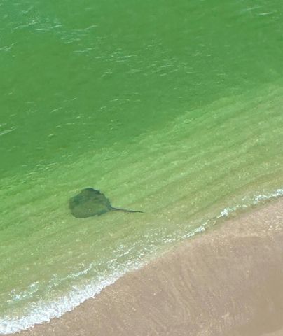 4280 Galt Ocean Drive 29C, Fort Lauderdale, FL 33308