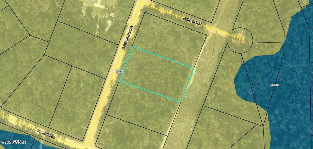 00 Anderson Drive, Alford, FL 32420