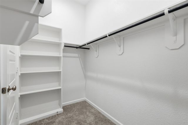 3101 Bell Flower Drive, Little Elm, TX 75068
