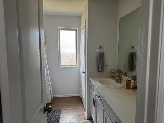 19406 Rosali Meadow Drive, New Caney, TX 77357