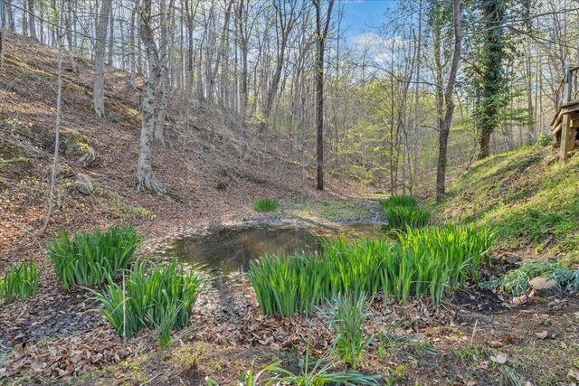 1065 Cain DR, Vinton, VA 24179
