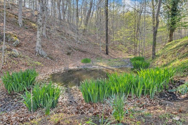 1065 Cain DR, Vinton, VA 24179