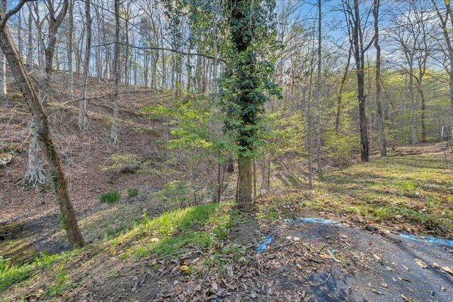 1065 Cain DR, Vinton, VA 24179