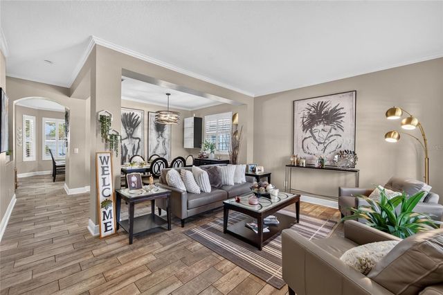 11405 VILLAGE BROOK DRIVE, Riverview, FL 33579