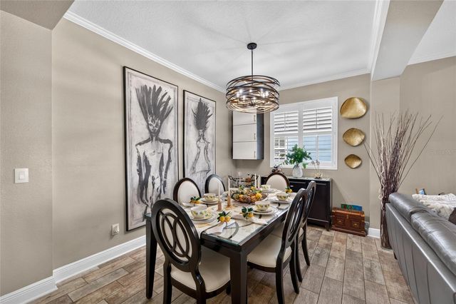 11405 VILLAGE BROOK DRIVE, Riverview, FL 33579