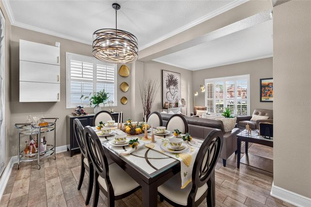 11405 VILLAGE BROOK DRIVE, Riverview, FL 33579