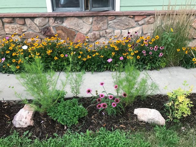 4057 Niblick Dr, Longmont, CO 80503