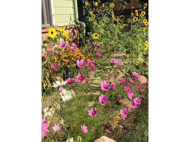 4057 Niblick Dr, Longmont, CO 80503