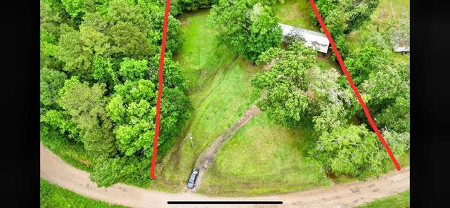 205 Collin Street, Livingston, TX 77351