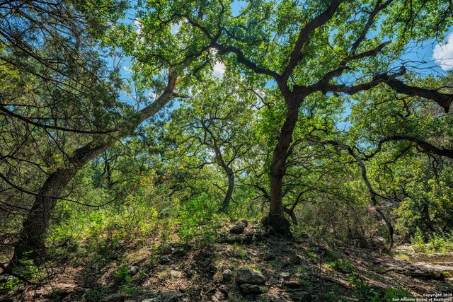 TBD HWY 337, Leakey, TX 78873