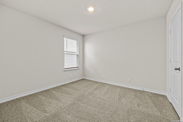 169 Hooded Dotterel, San Antonio, TX 78253