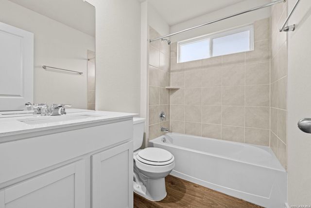 169 Hooded Dotterel, San Antonio, TX 78253