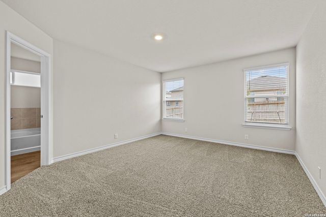 169 Hooded Dotterel, San Antonio, TX 78253