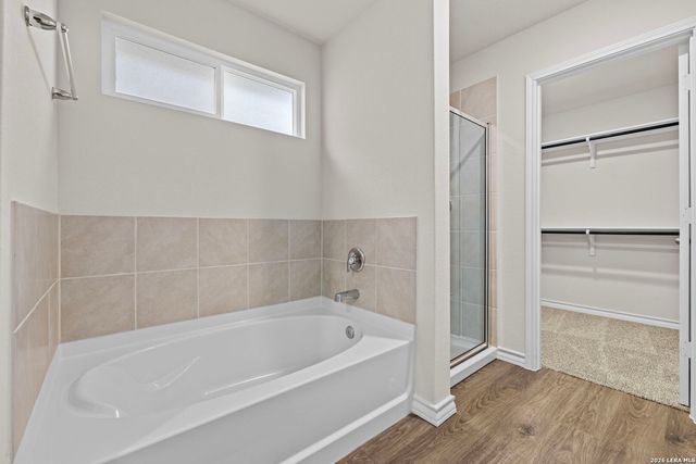 169 Hooded Dotterel, San Antonio, TX 78253