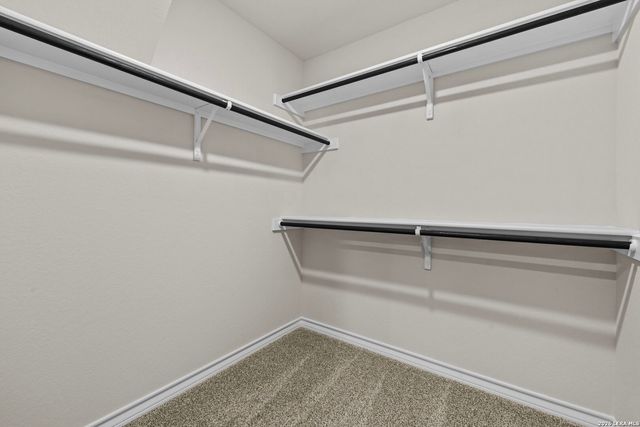 169 Hooded Dotterel, San Antonio, TX 78253