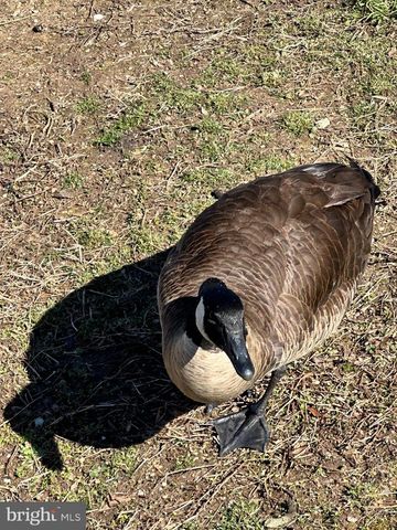 3476 MOUNT BURNSIDE WAY, Woodbridge, VA 22192