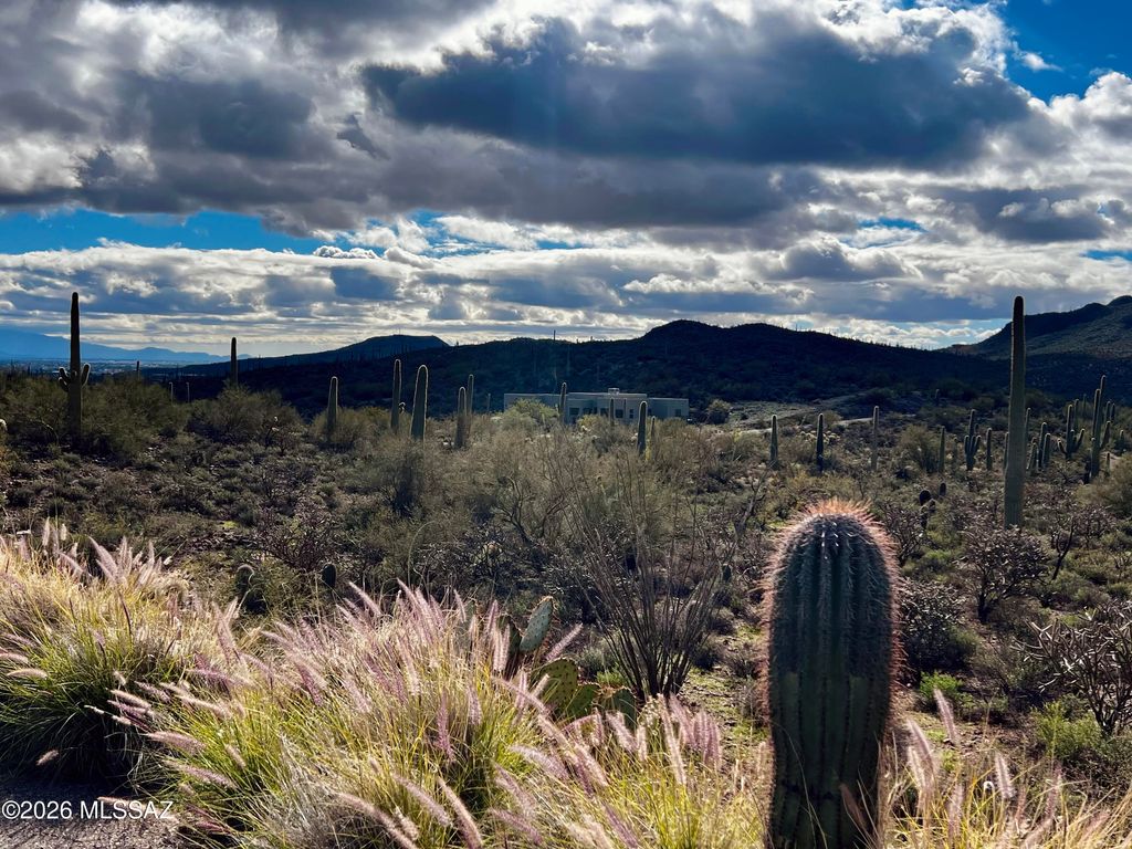 Image 30 of property listing at 4091 W Gates Creek Court, Tucson, AZ 85745