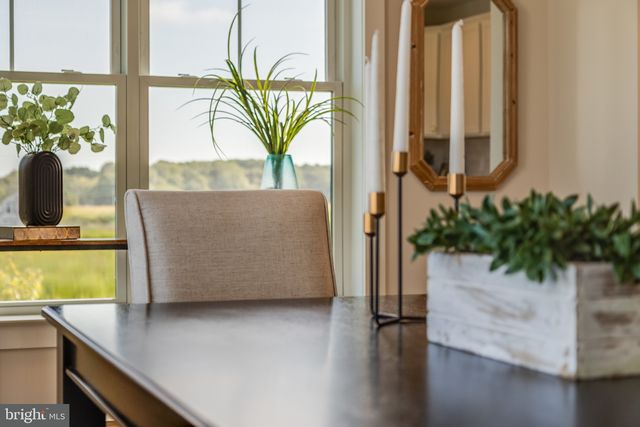 30461 BLUE BEECH LN, Frankford, DE 19945