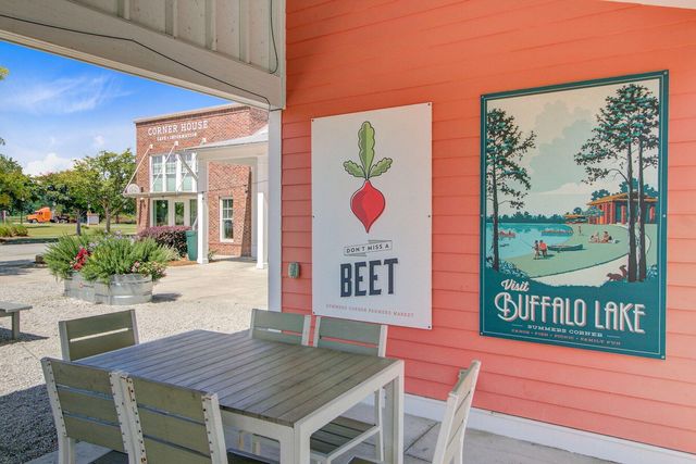 203 Gnarly Oak Lane, Summerville, SC 29485