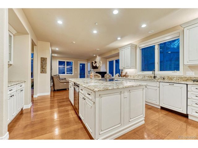 4537 Silver Dale Ct, Castle Rock, CO 80108