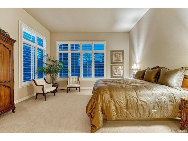 4537 Silver Dale Ct, Castle Rock, CO 80108