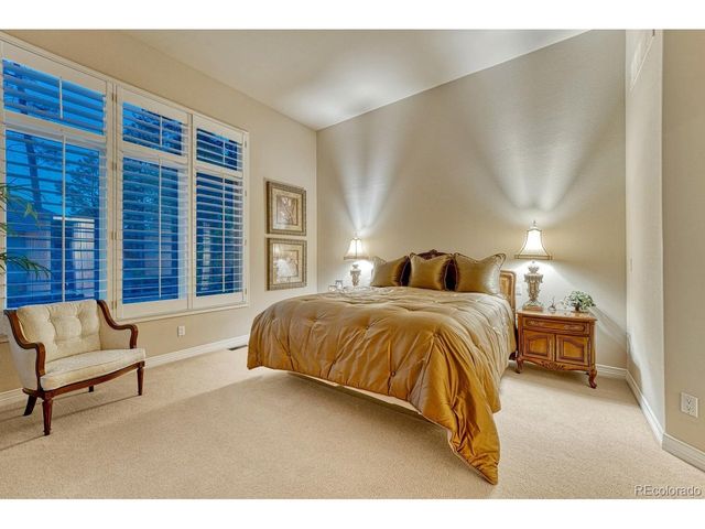 4537 Silver Dale Ct, Castle Rock, CO 80108