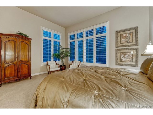 4537 Silver Dale Ct, Castle Rock, CO 80108