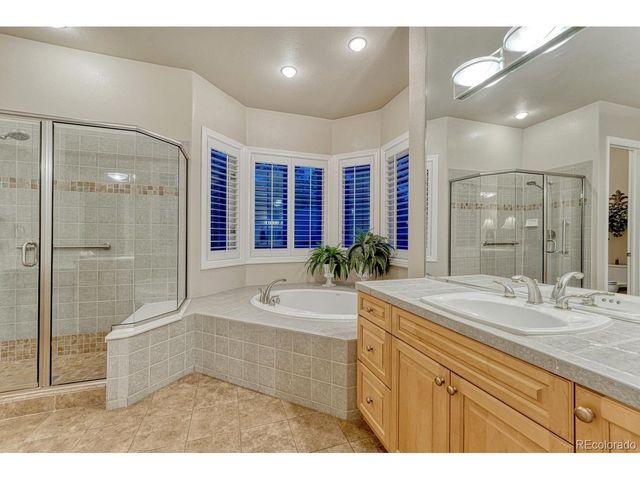 4537 Silver Dale Ct, Castle Rock, CO 80108