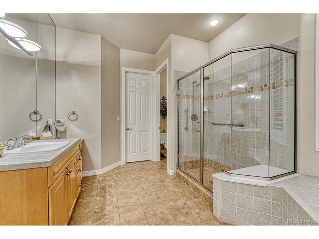 4537 Silver Dale Ct, Castle Rock, CO 80108