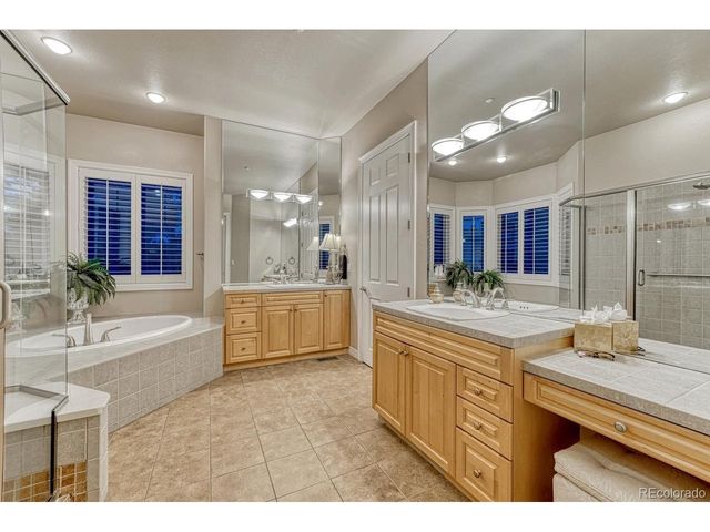 4537 Silver Dale Ct, Castle Rock, CO 80108