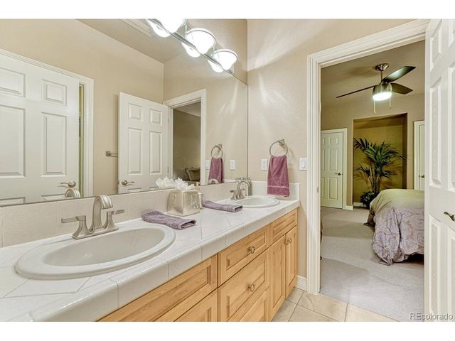 4537 Silver Dale Ct, Castle Rock, CO 80108