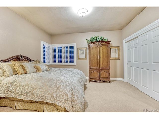 4537 Silver Dale Ct, Castle Rock, CO 80108