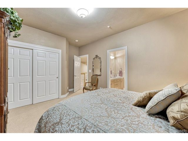 4537 Silver Dale Ct, Castle Rock, CO 80108