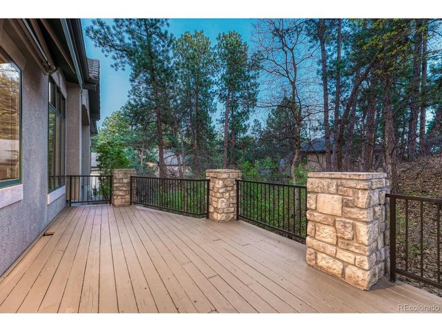 4537 Silver Dale Ct, Castle Rock, CO 80108