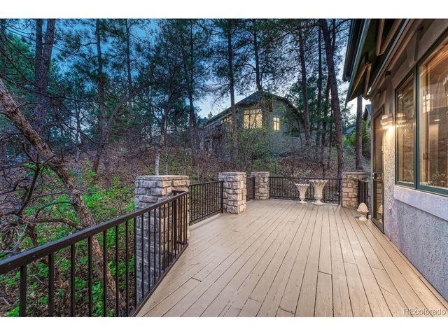 4537 Silver Dale Ct, Castle Rock, CO 80108