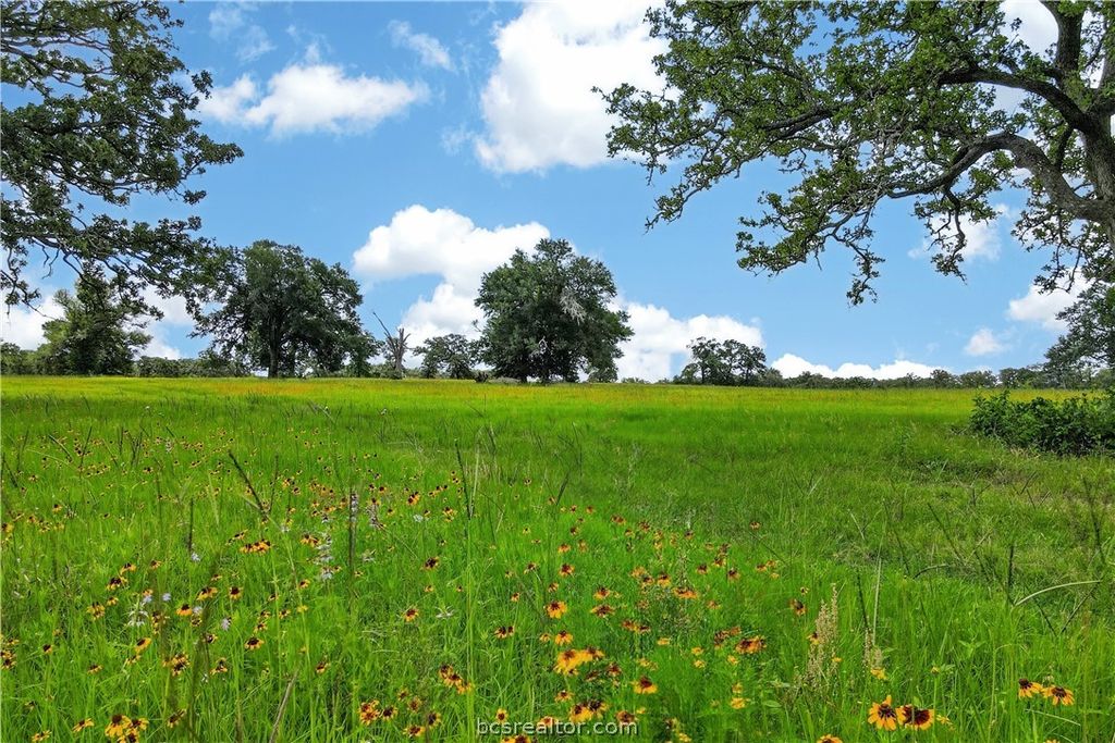 11648 FM 2000, Caldwell, TX 77836 — exterior