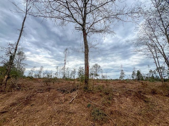 T-2 Cr 4590, Spurger, TX 77660