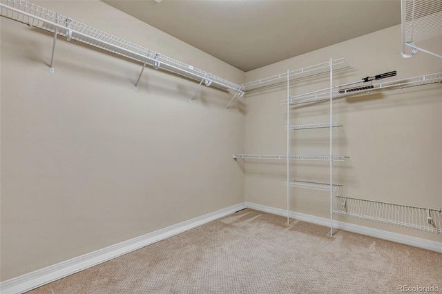 2998 Wild Cherry Lane, Colorado Springs, CO 80920