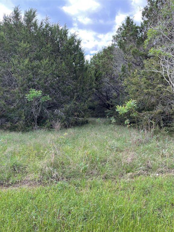 43208 Fringewood Drive, Whitney, TX 76692