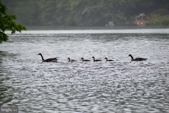 LOT 36 LAKE SERENE DR, Winchester, VA 22603
