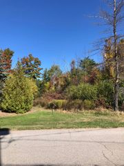 #4 Lamoreaux Drive, Elk Rapids, MI 49629